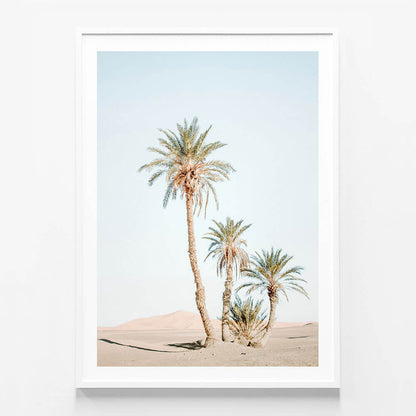 Desert Palms