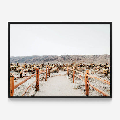 Desert Path