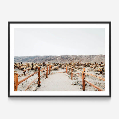 Desert Path
