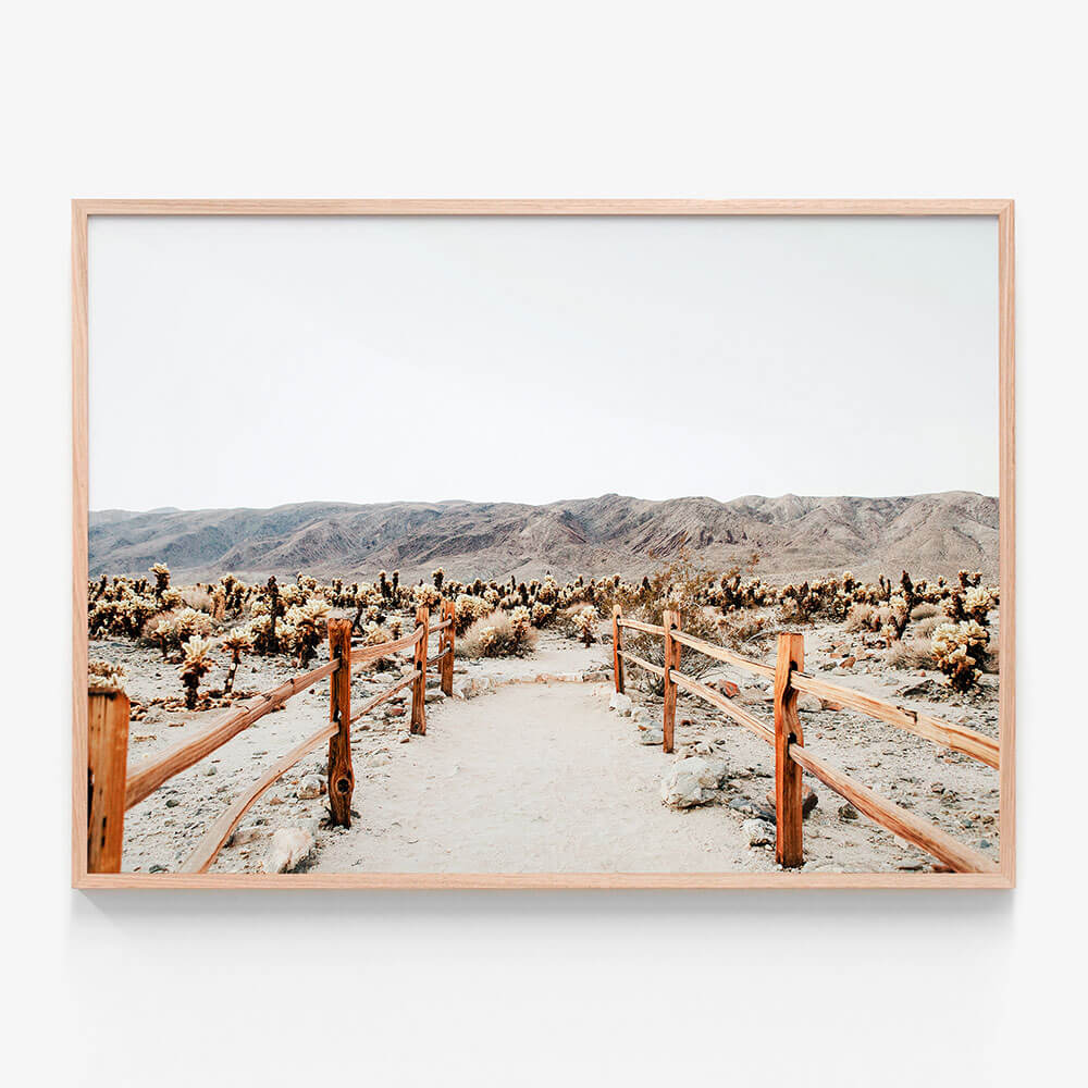 Desert Path