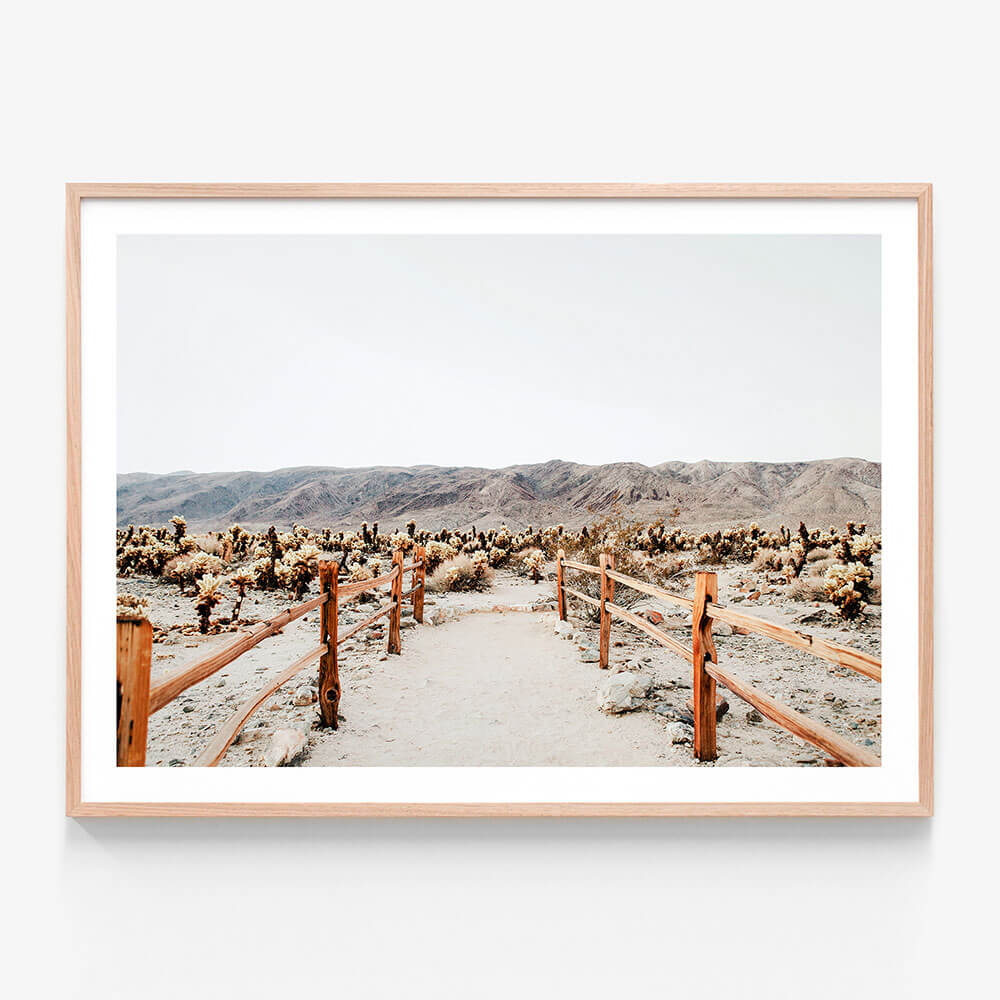 Desert Path