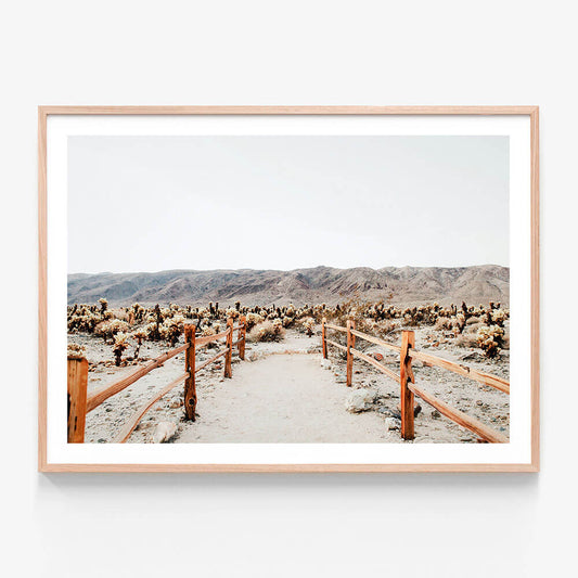 Desert Path