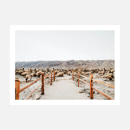 Desert Path