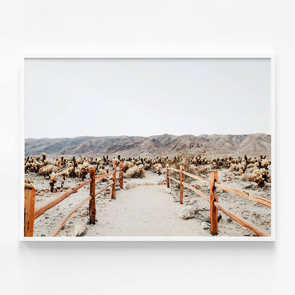 Desert Path
