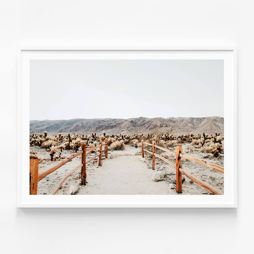 Desert Path