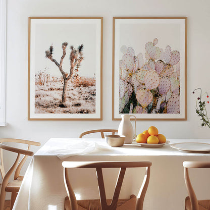 Desert Photography Framed Prints