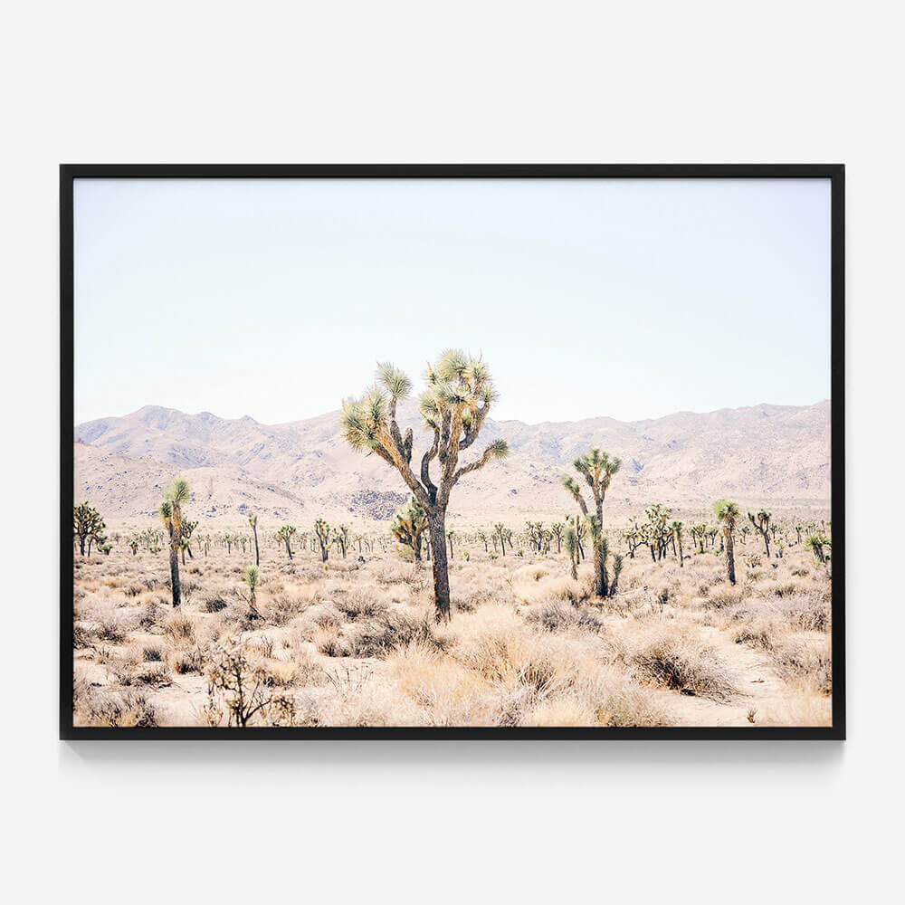 Desert Plain
