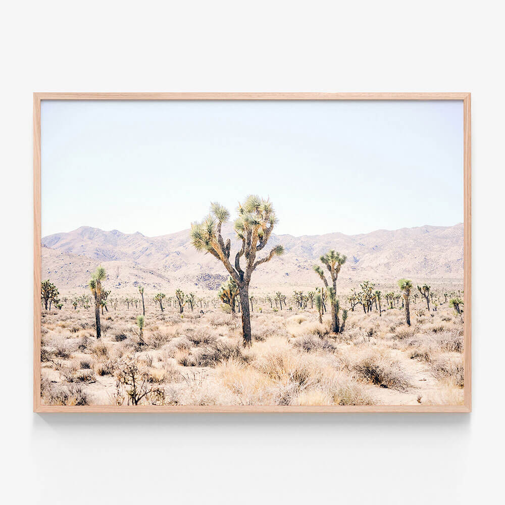 Desert Plain