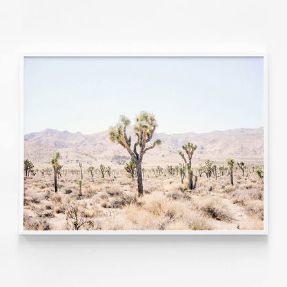 Desert Plain