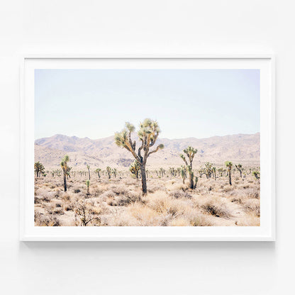 Desert Plain