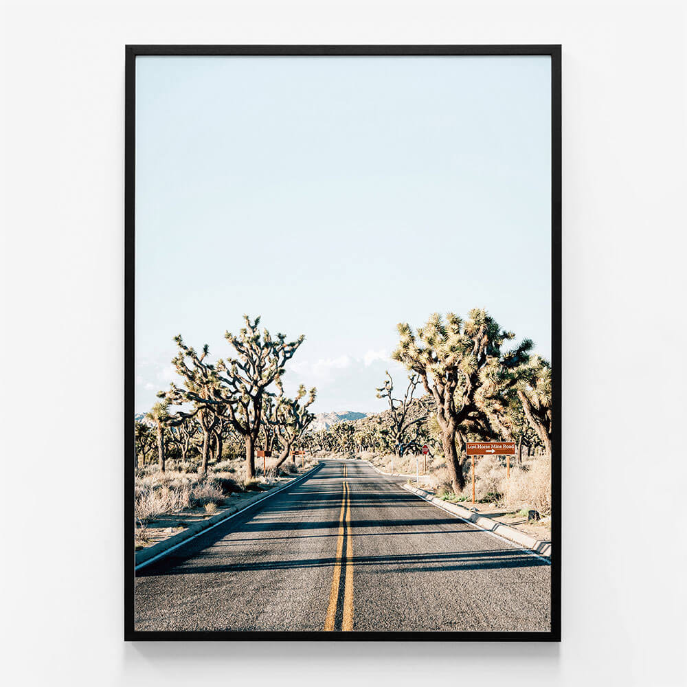 Desert Road