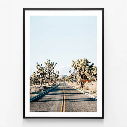 Desert Road