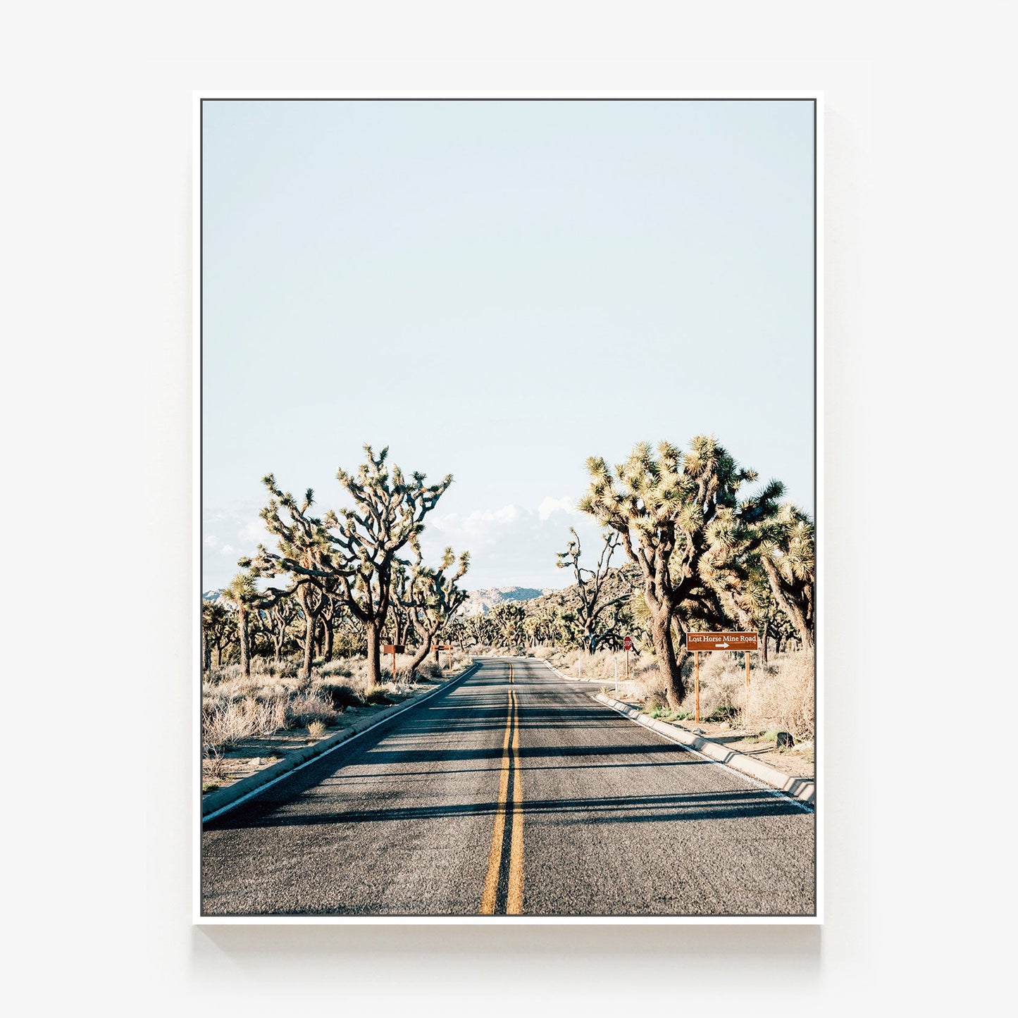 Desert Road Canvas