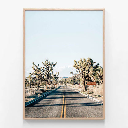 Desert Road