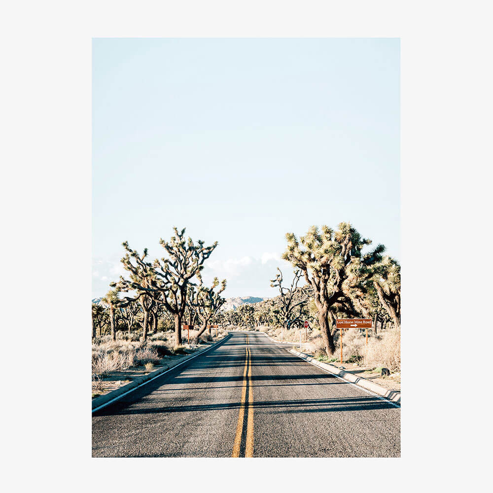 Desert Road