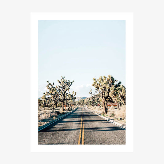 Desert Road