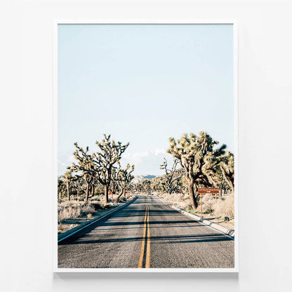 Desert Road