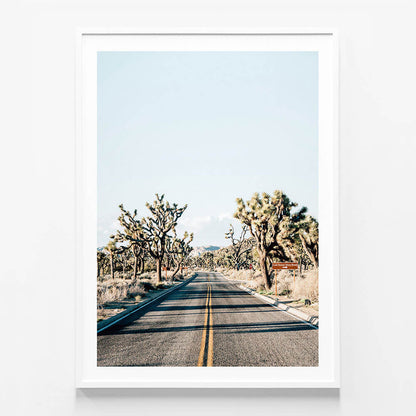 Desert Road