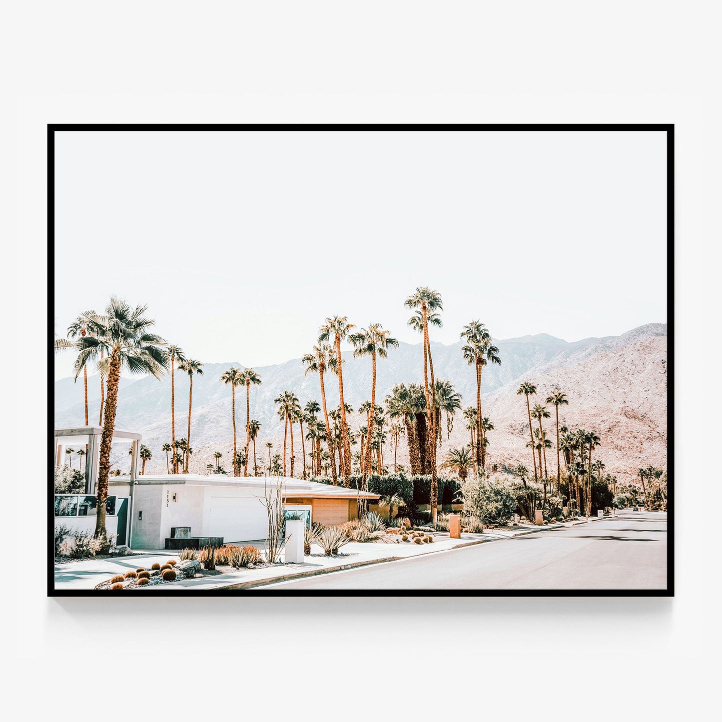 Desert Streets Canvas