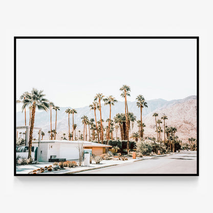 Desert Streets Canvas