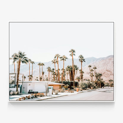 Desert Streets Canvas