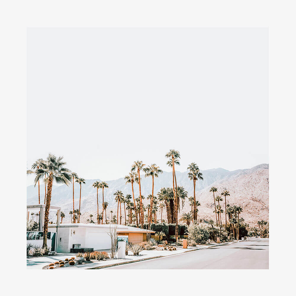 Desert Streets