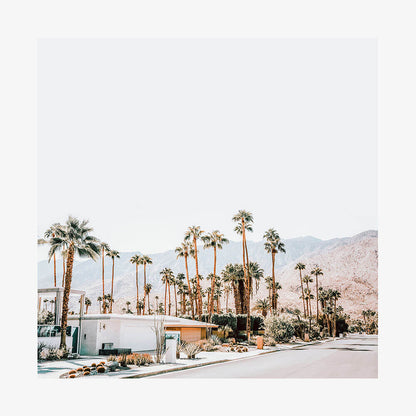 Desert Streets