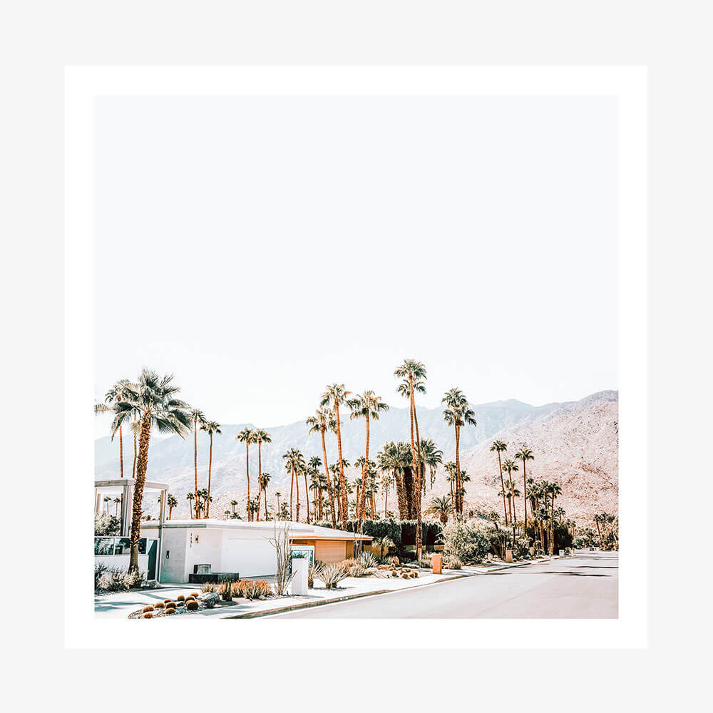Desert Streets