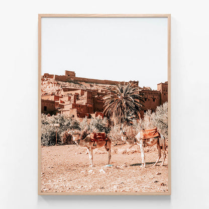Desert Taxi
