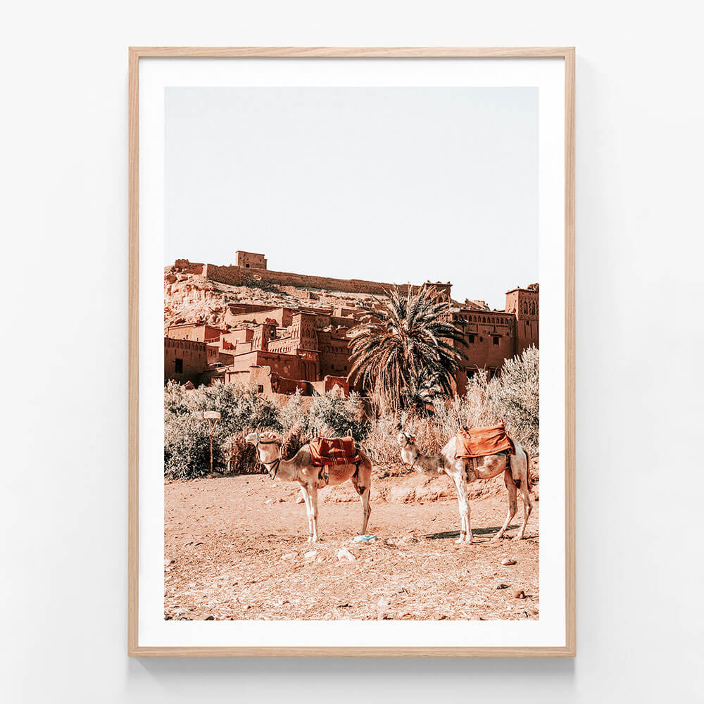 A framed print featuring camels in the desert outside a kasbah in Morocco.