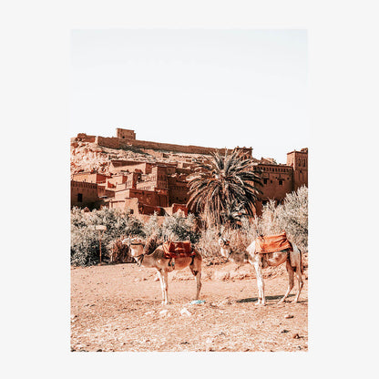 Desert Taxi