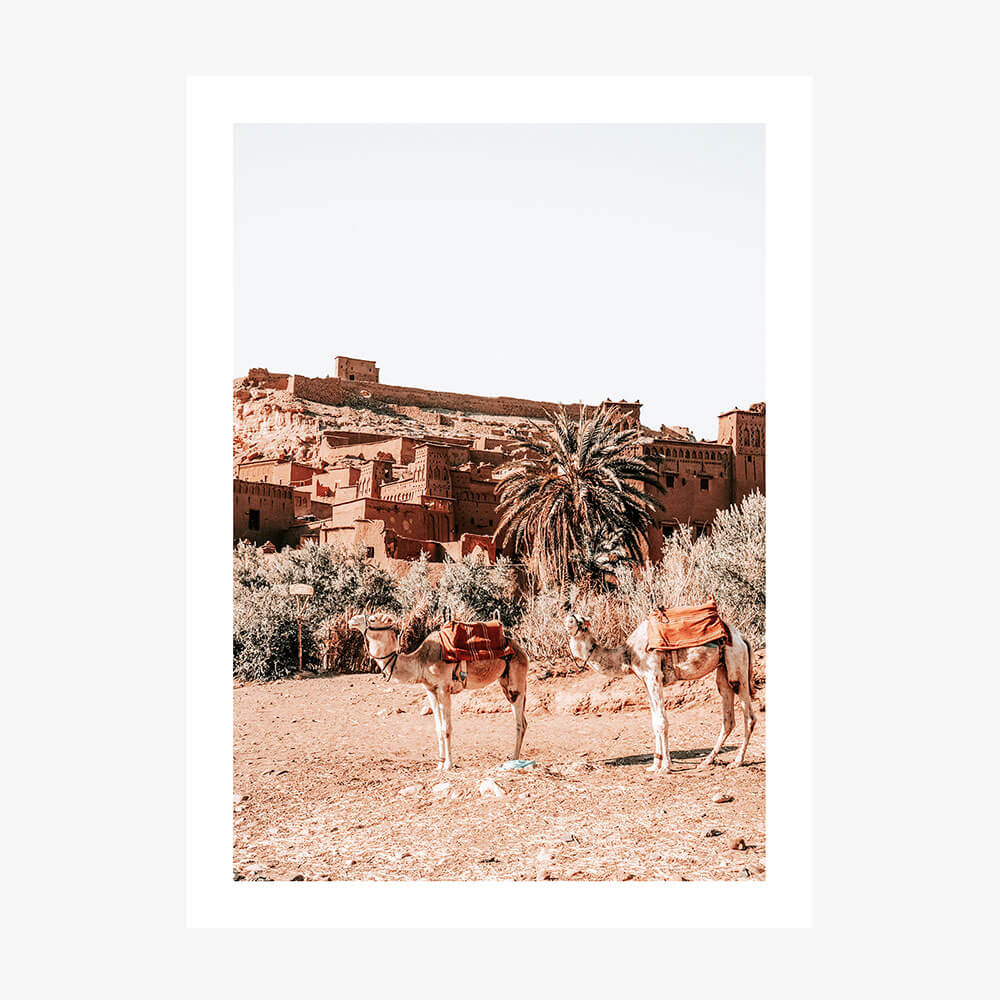 A photo wall art print featuring camels in the desert in Morocco.