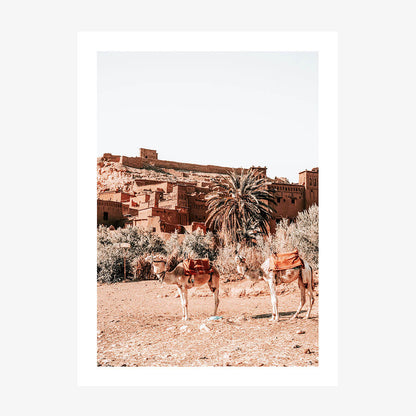 A photo wall art print featuring camels in the desert in Morocco.