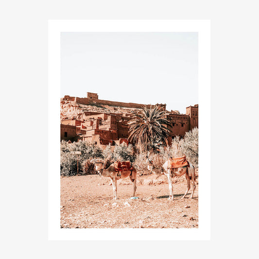 A photo wall art print featuring camels in the desert in Morocco.