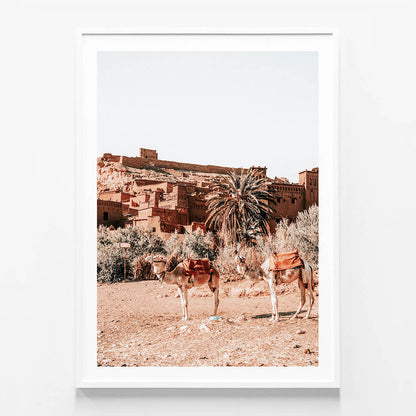 Desert Taxi
