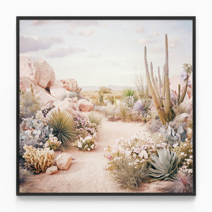 Desert in Bloom