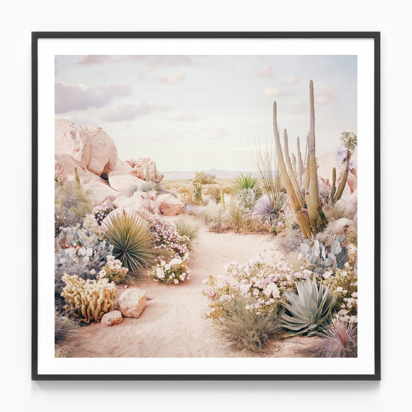 Desert in Bloom