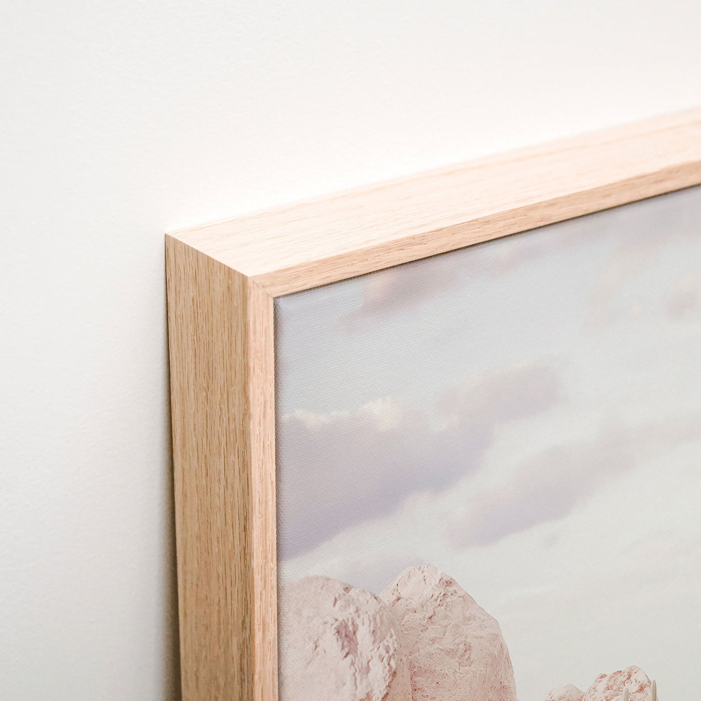 Desert in Bloom Canvas