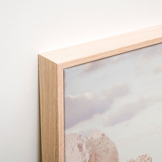 Desert in Bloom Canvas
