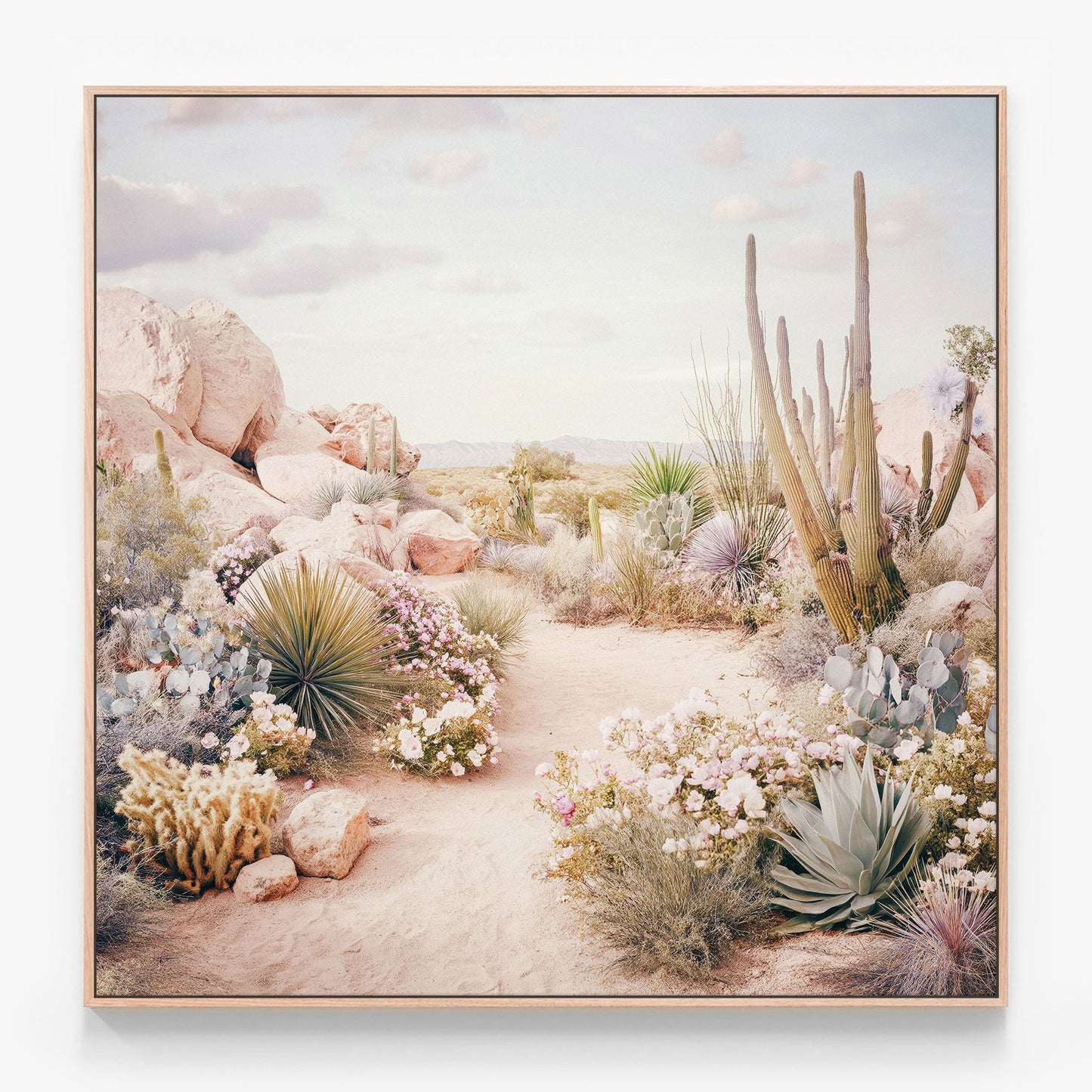 Desert in Bloom Canvas