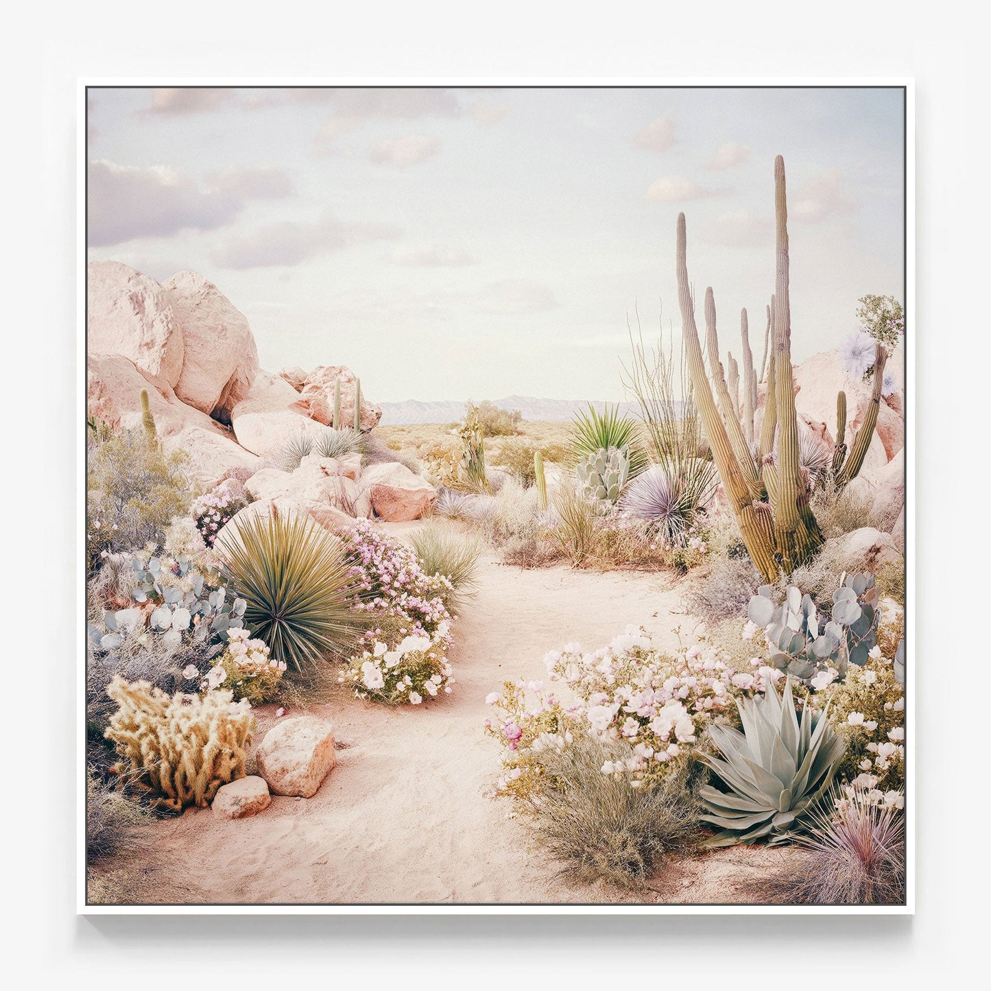 Desert in Bloom Canvas
