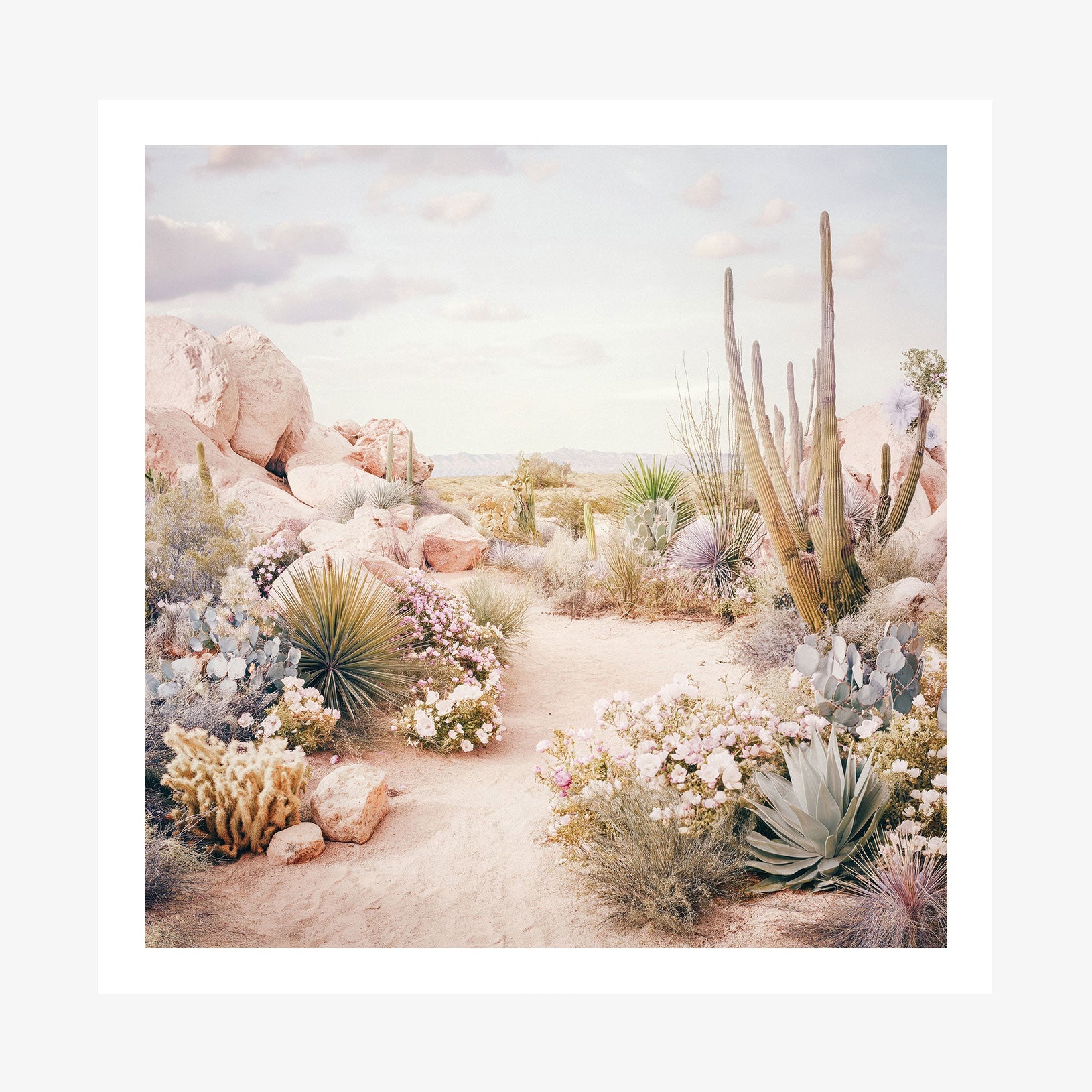 Desert in Bloom wall art print