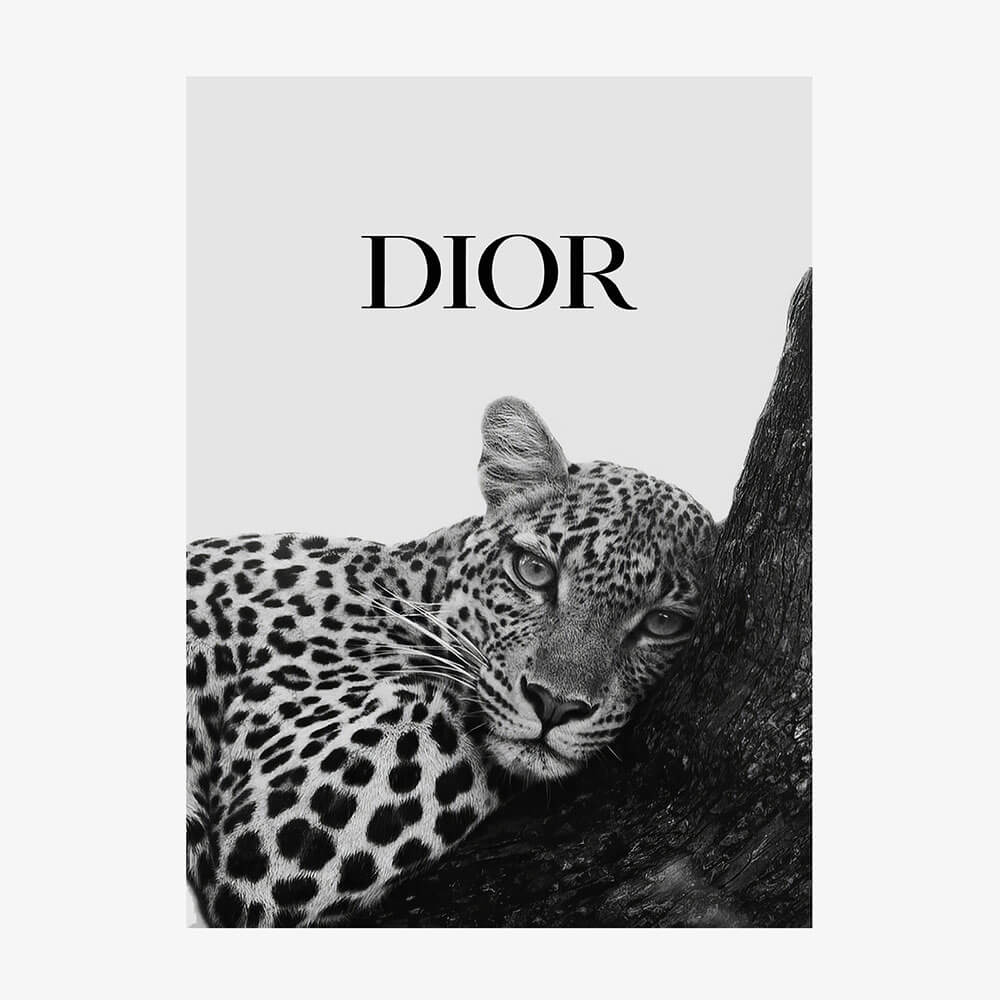 Dior Leopard
