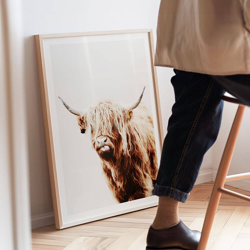Dougal-Highland-Cow-Framed-Print.jpg