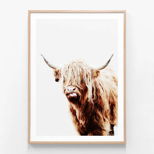 Dougal the highland cow framed wall art print