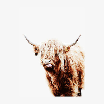 Dougal