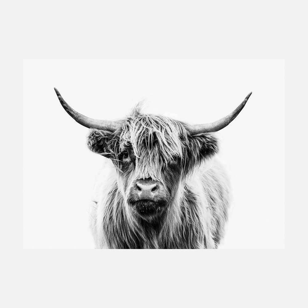Duncan B&W