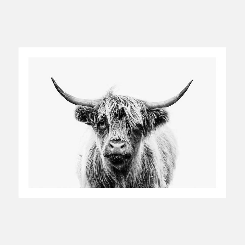 Duncan B&W