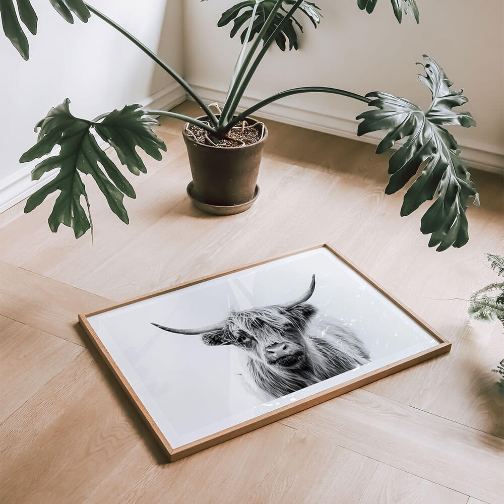 Duncan-Black-and-White-Highland-Cow-Wall-Art.jpg