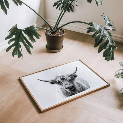 Duncan-Black-and-White-Highland-Cow-Wall-Art.jpg